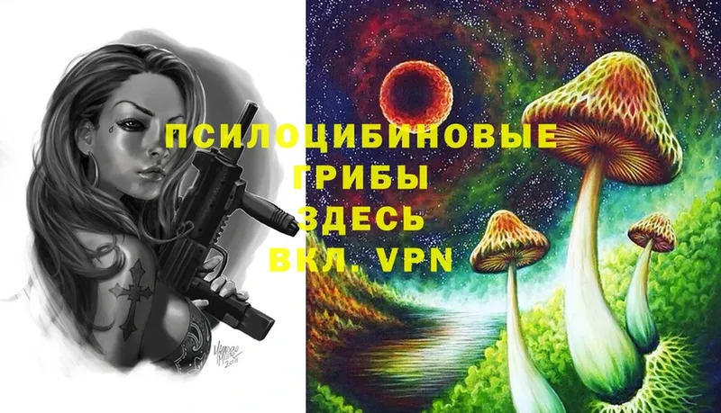 omg tor  мориарти Telegram  Псилоцибиновые грибы Psilocybine cubensis  Новошахтинск 